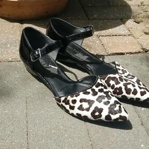 ☄Nwot franco sarto leopard pointy toe low wedge